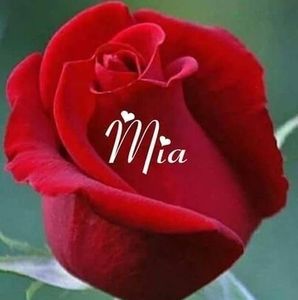 Meet your Posher, Iris